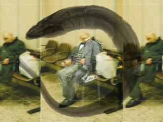 Sulle teorie ototopiche