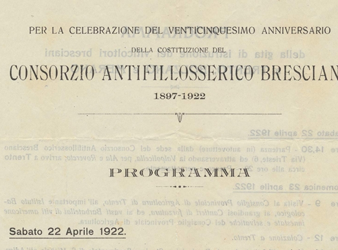 Consorzio Antifillossererico Bresciano 1897-1922
