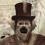 Mister Crick