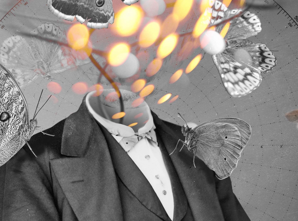 Magister primo